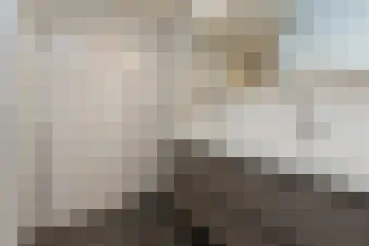 Apollolaan 240 Leiden thumbnail 11
