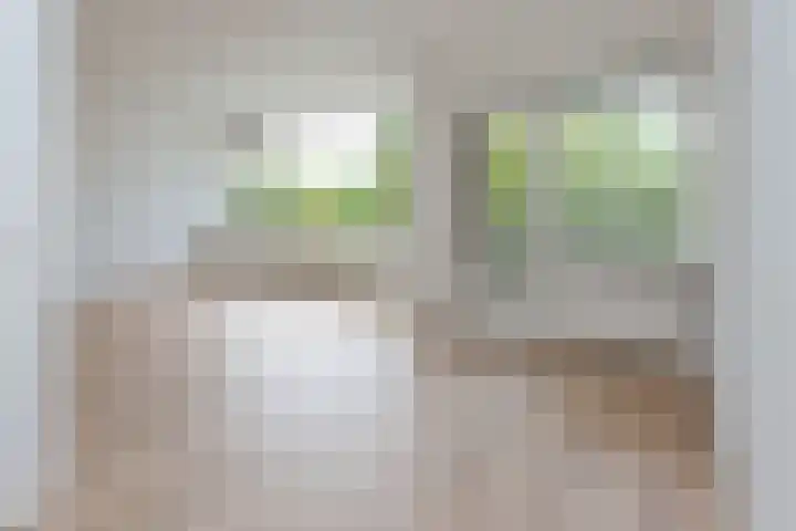 Apollolaan 240 Leiden thumbnail 5