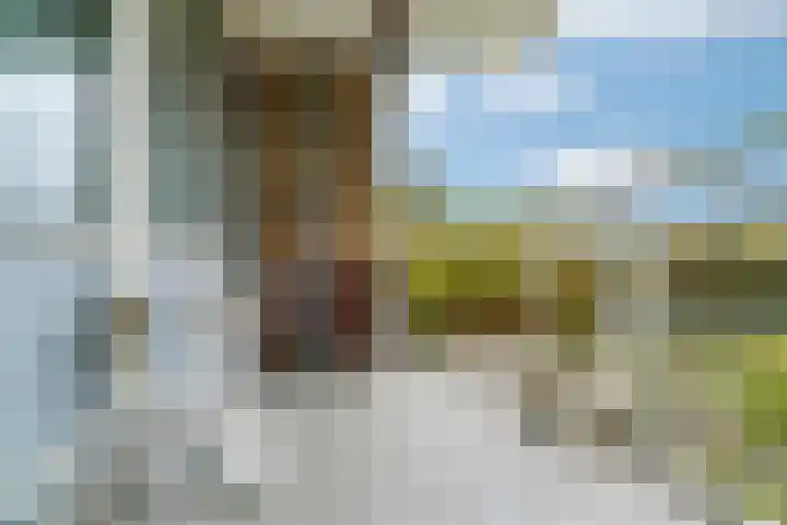 Apollolaan 244 Leiden thumbnail 21