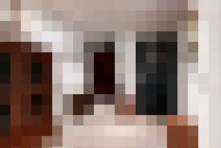 Apollolaan 244 Leiden thumbnail 6