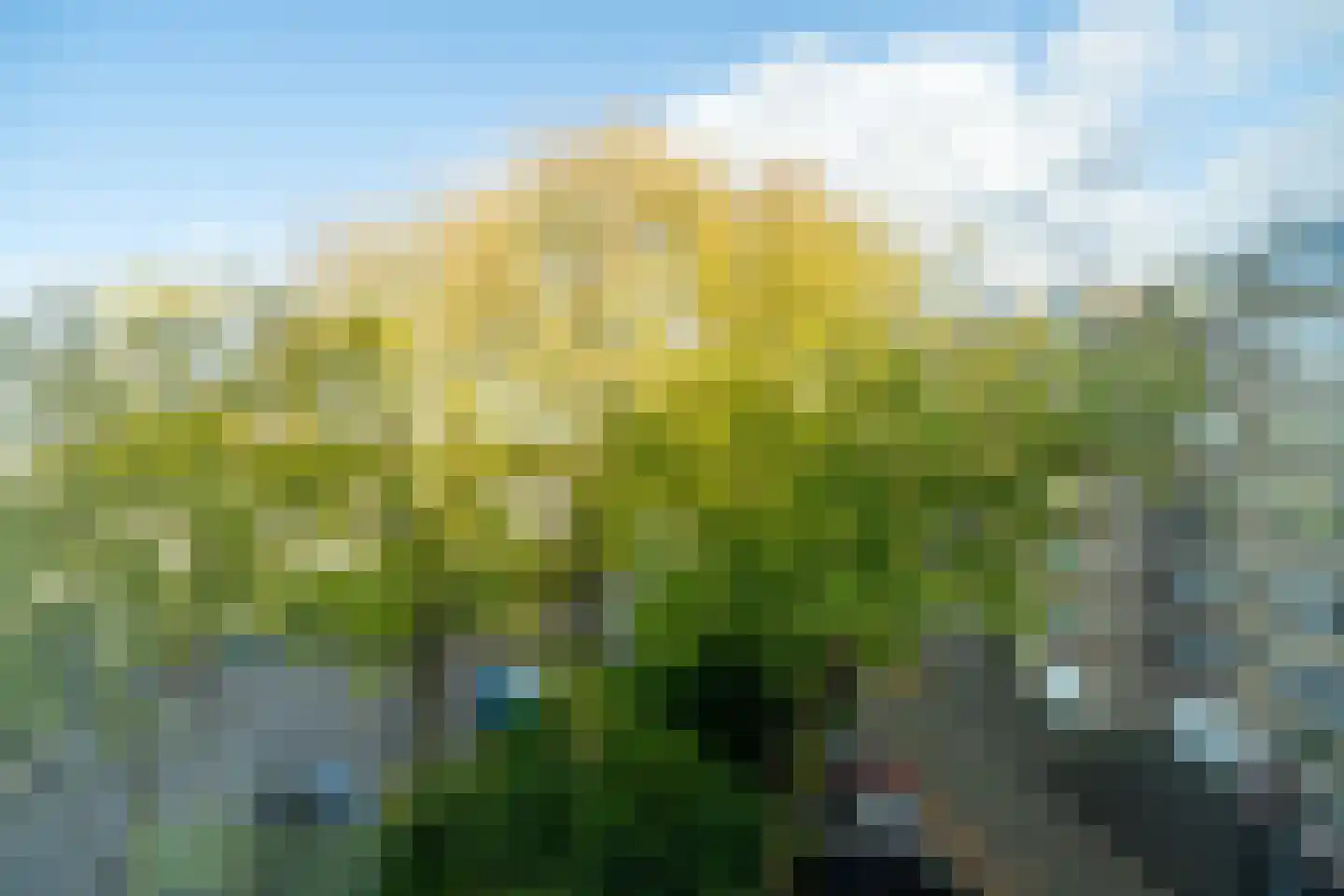 Apollolaan 246 Leiden thumbnail 33