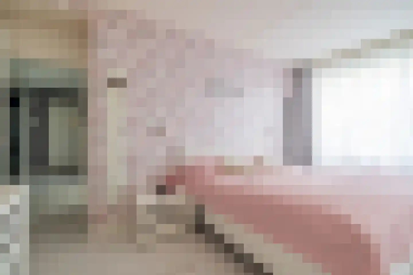 Apollolaan 246 Leiden thumbnail 34