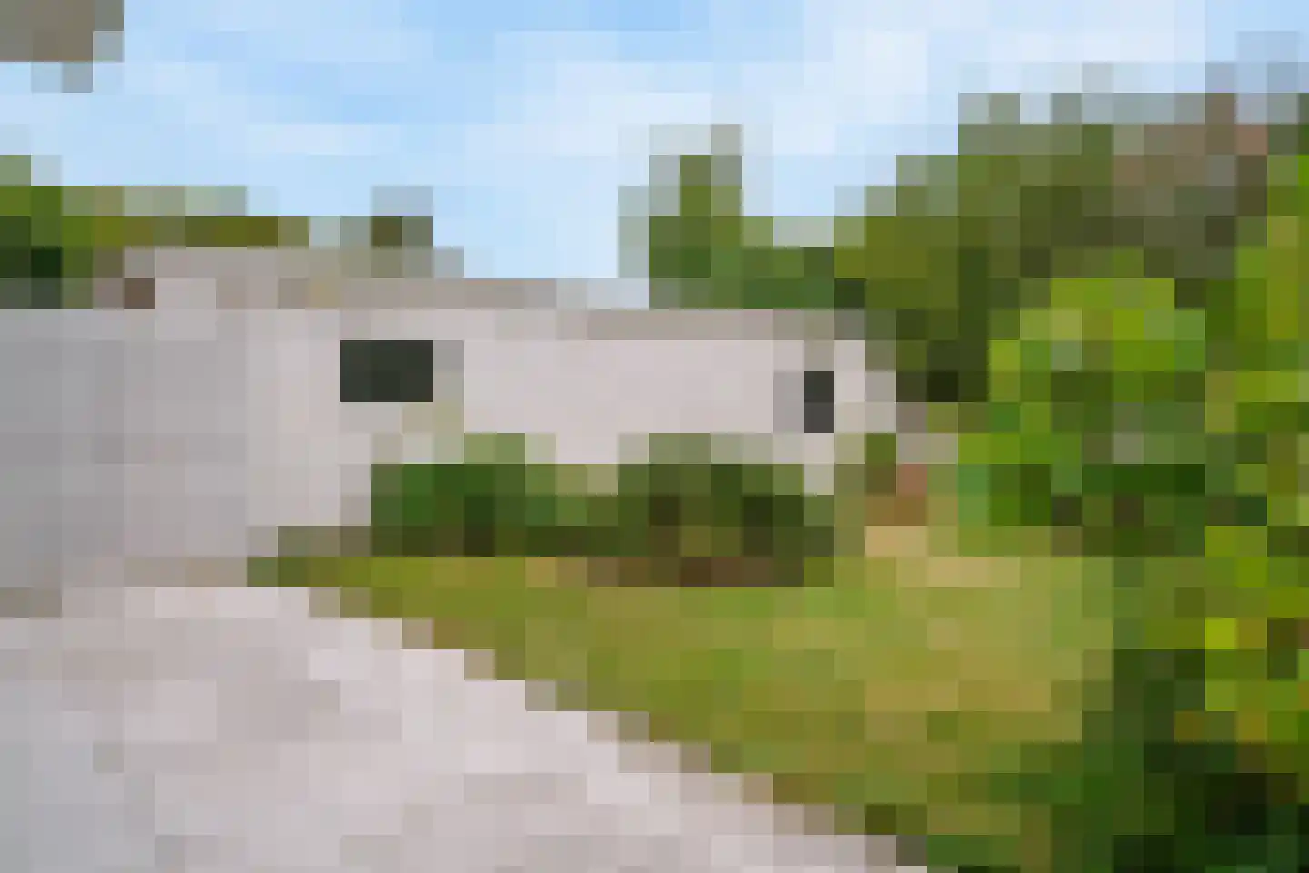 Apollolaan 25 Leiden thumbnail 46