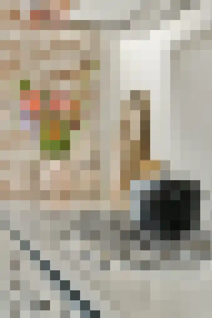 Apollolaan 25 Oostzaan thumbnail 11