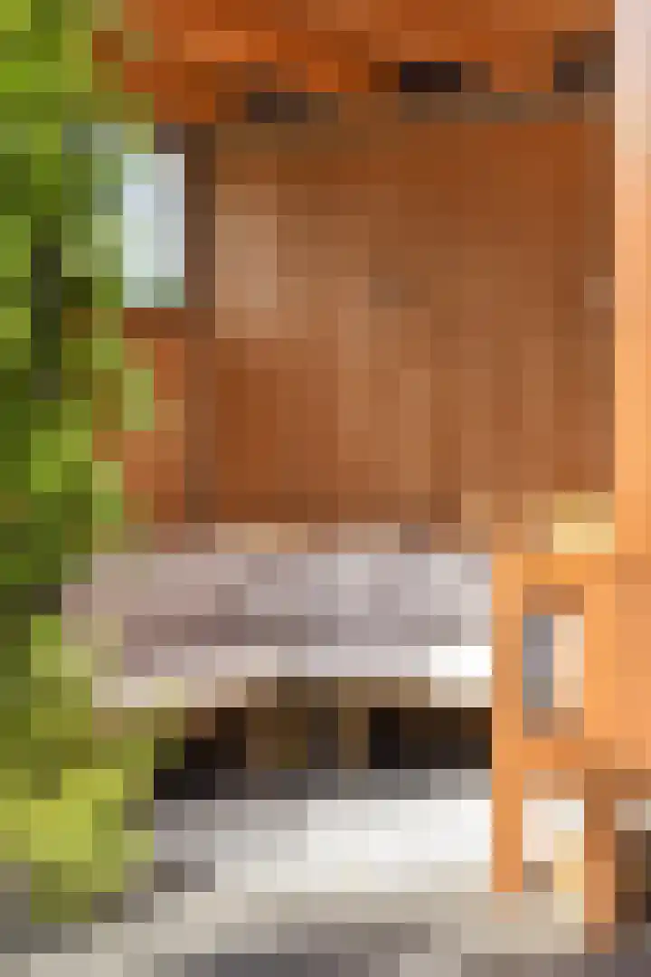 Apollolaan 25 Oostzaan thumbnail 22