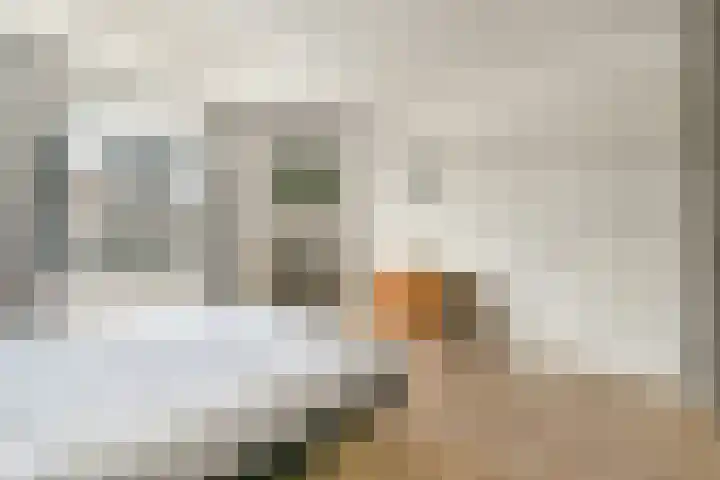 Apollolaan 25 Oostzaan thumbnail 27