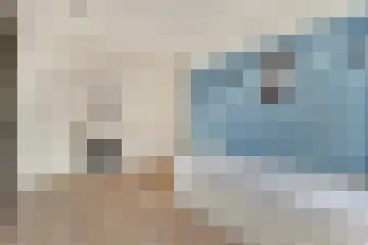 Apollolaan 25 Oostzaan thumbnail 30