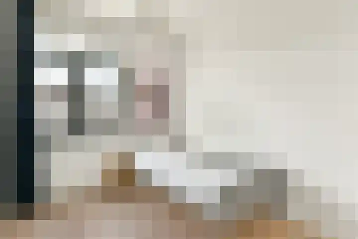 Apollolaan 25 Oostzaan thumbnail 35