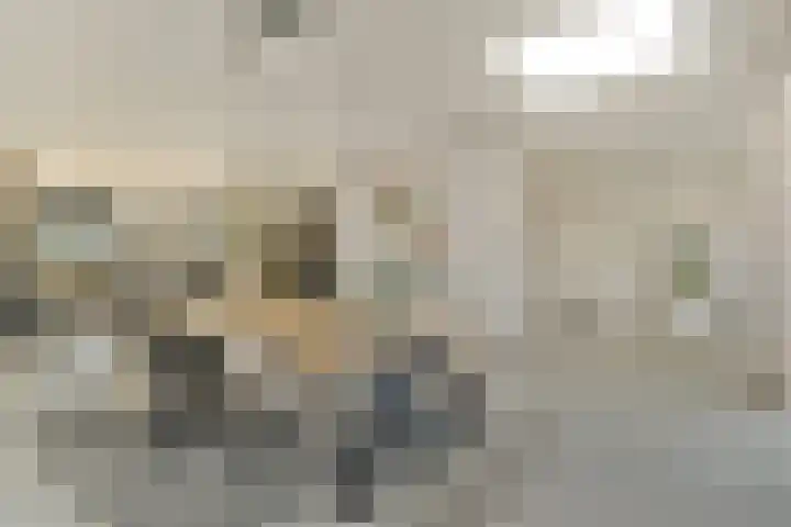 Apollolaan 25 Oostzaan thumbnail 7
