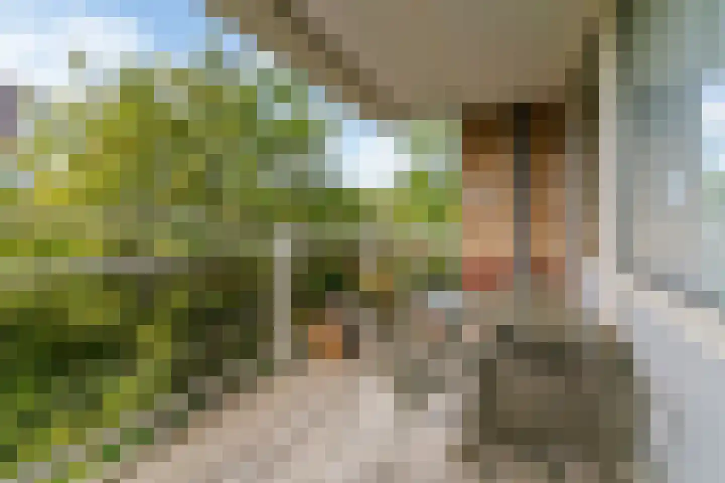 Apollolaan 252 Leiden thumbnail 4