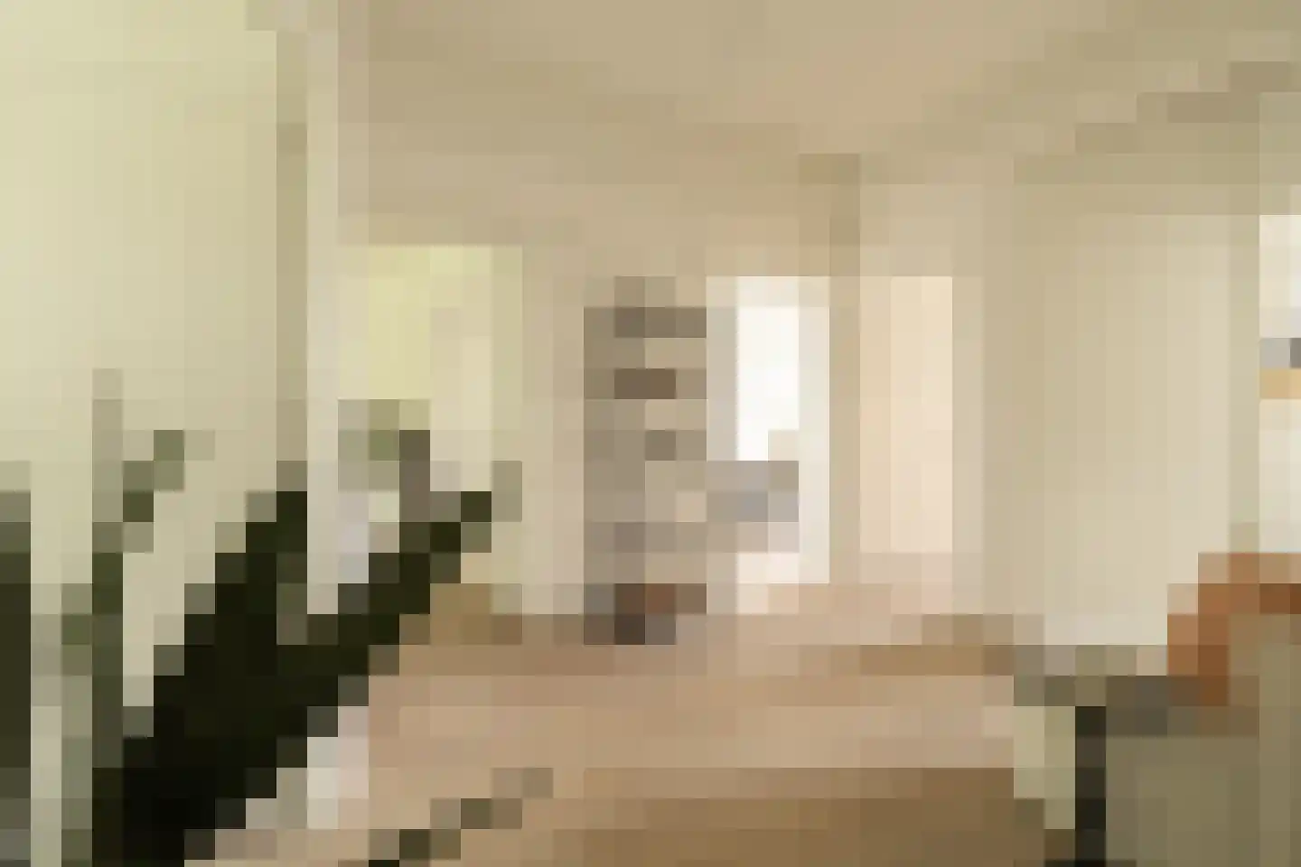 Apollolaan 35 2 Amsterdam thumbnail 8