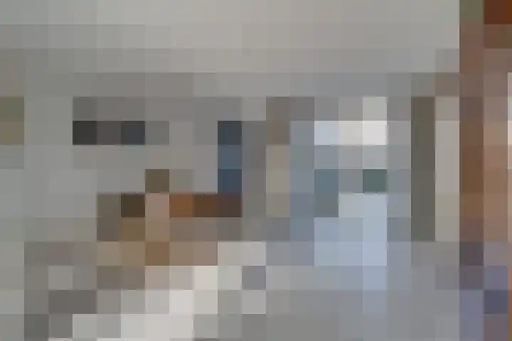 Apollolaan 39 Waddinxveen thumbnail 12