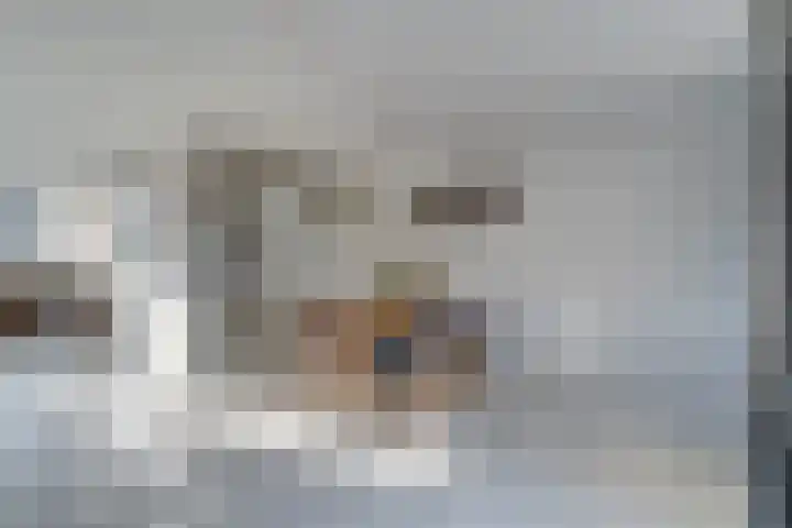 Apollolaan 39 Waddinxveen thumbnail 13