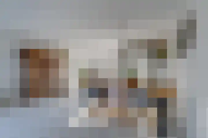 Apollolaan 39 Waddinxveen thumbnail 15