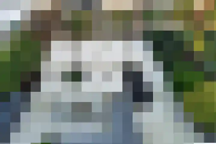 Apollolaan 39 Waddinxveen thumbnail 24