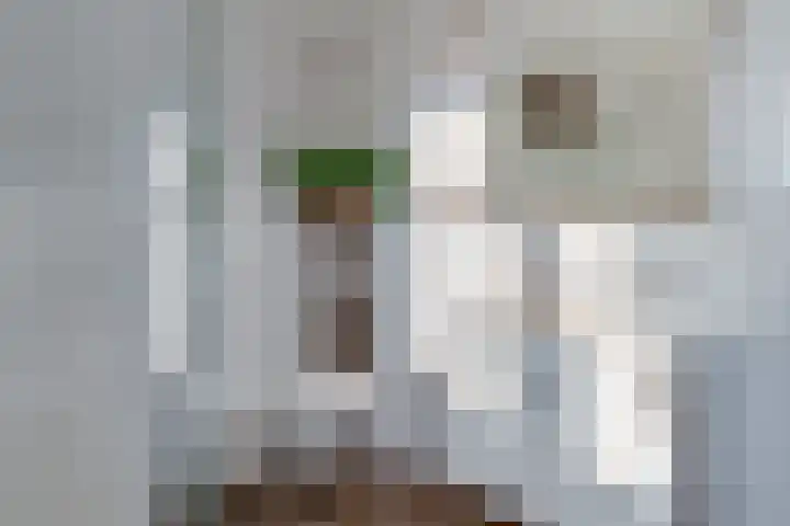 Apollolaan 39 Waddinxveen thumbnail 33