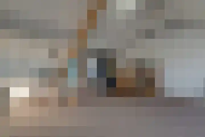 Apollolaan 39 Waddinxveen thumbnail 34
