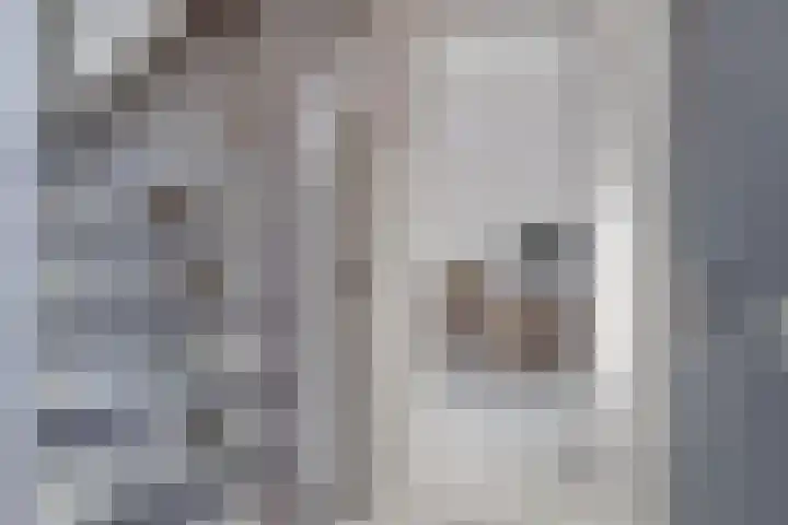 Apollolaan 39 Waddinxveen thumbnail 6