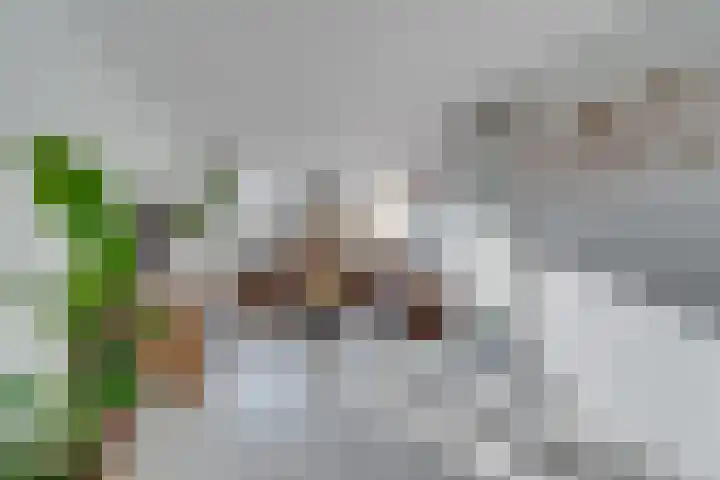 Apollolaan 39 Waddinxveen thumbnail 8