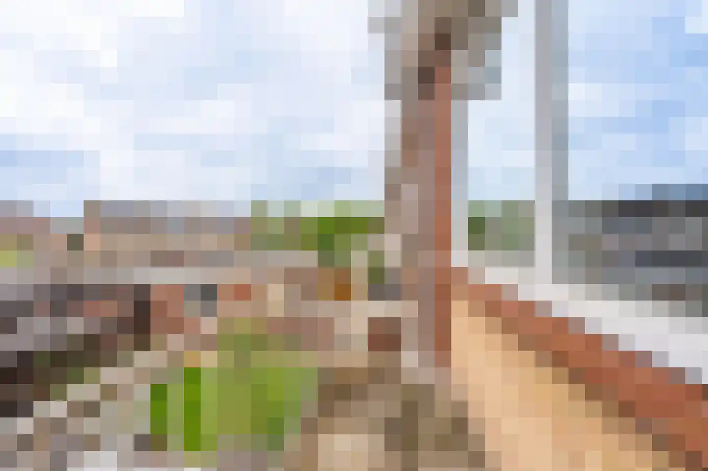 Apollolaan 40 Oude Pekela thumbnail 20