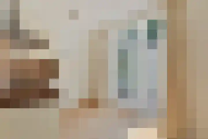 Apollolaan 40 Son en Breugel thumbnail 15