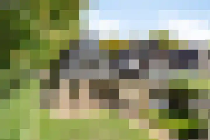 Apollolaan 40 Son en Breugel thumbnail 30