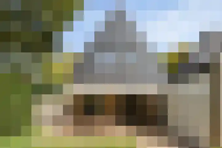 Apollolaan 40 Son en Breugel thumbnail 32