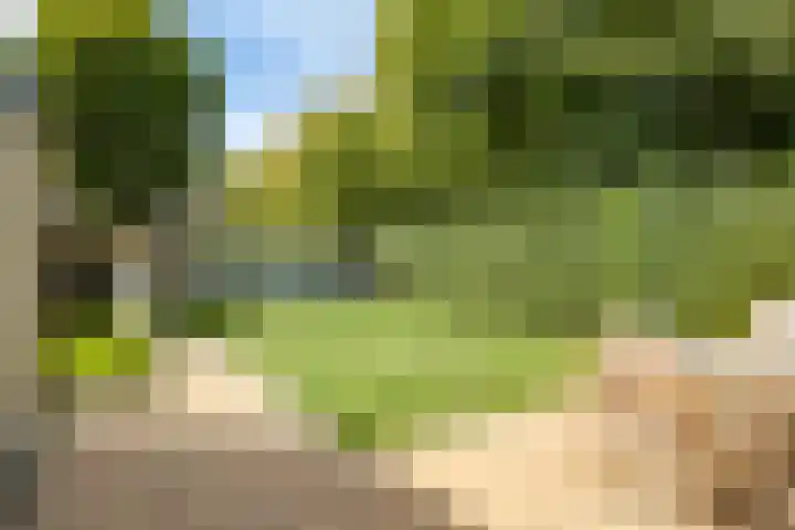 Apollolaan 40 Son en Breugel thumbnail 33