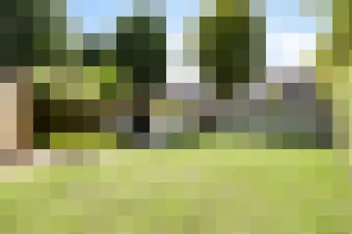 Apollolaan 40 Son en Breugel thumbnail 34