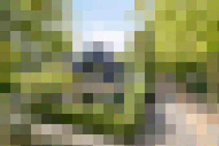 Apollolaan 40 Son en Breugel thumbnail 36