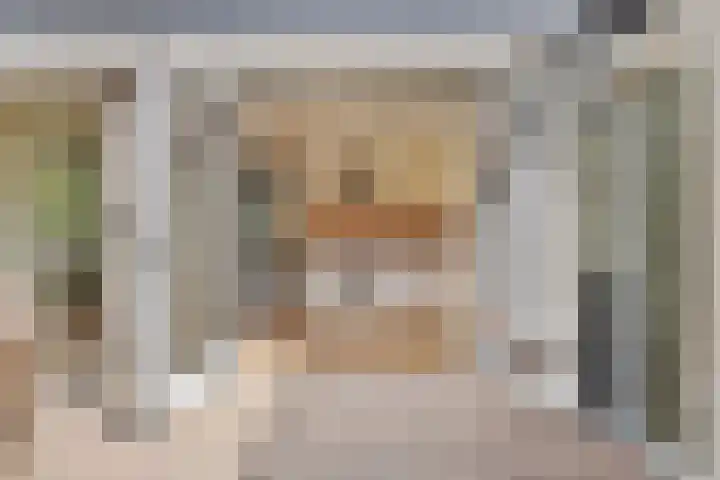 Apollolaan 40 Son en Breugel thumbnail 4