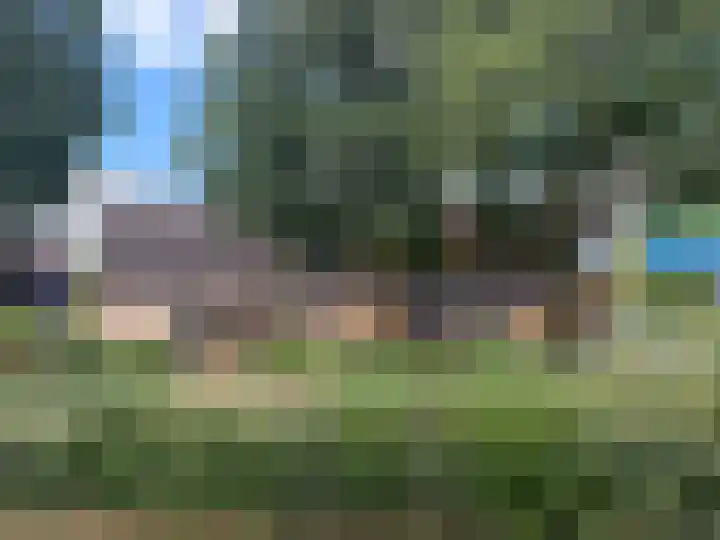 Apollolaan 40 Son en Breugel thumbnail 47