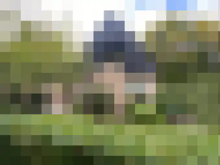 Apollolaan 40 Son en Breugel thumbnail 5