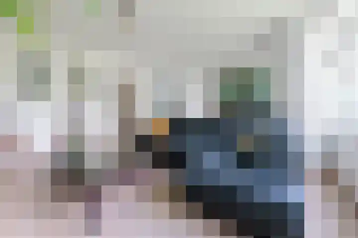 Apollolaan 410 Leiden thumbnail 19