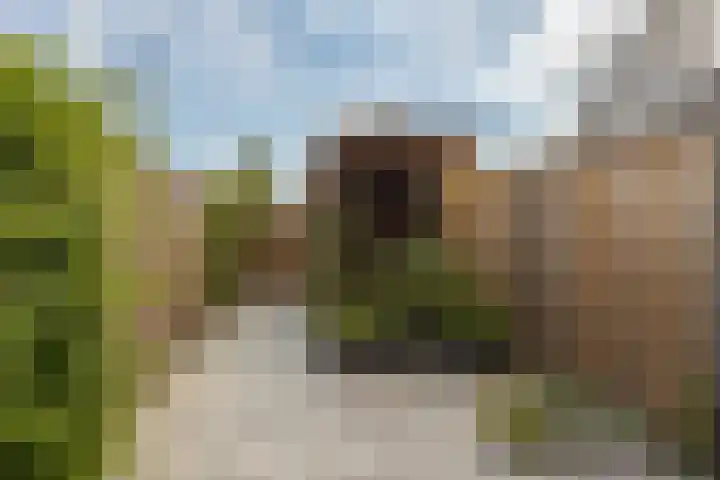 Apollolaan 42 Leusden thumbnail 18