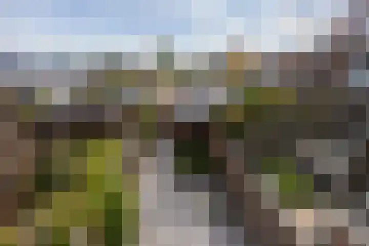 Apollolaan 42 Leusden thumbnail 21