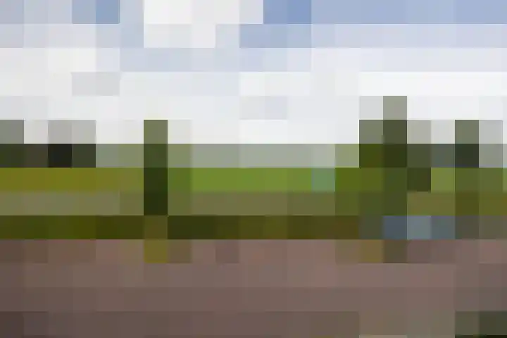 Apollolaan 42 Leusden thumbnail 22