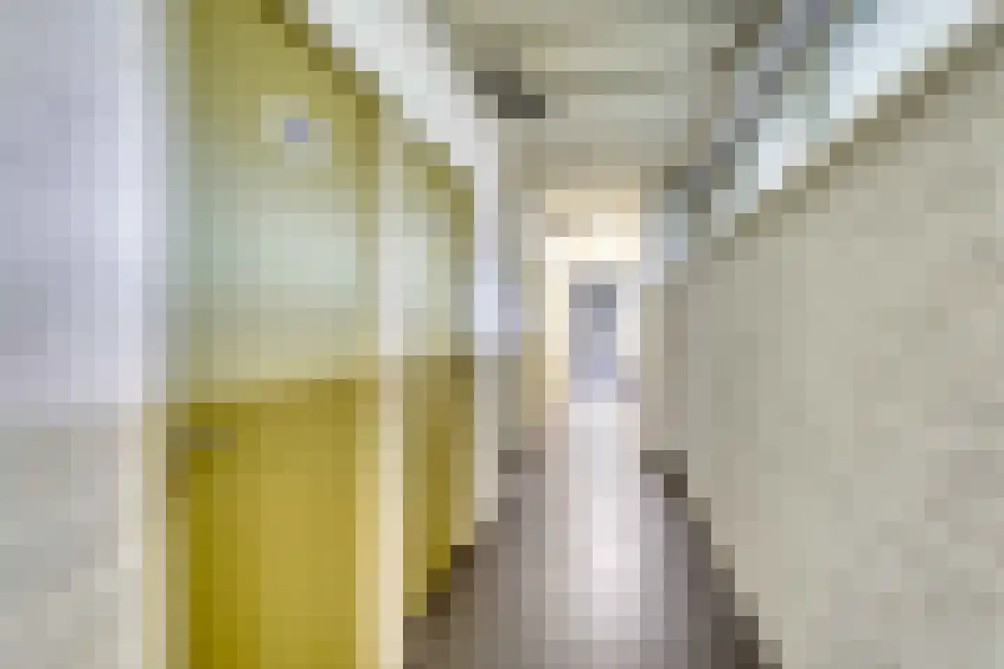 Apollolaan 422 Leiden thumbnail 35