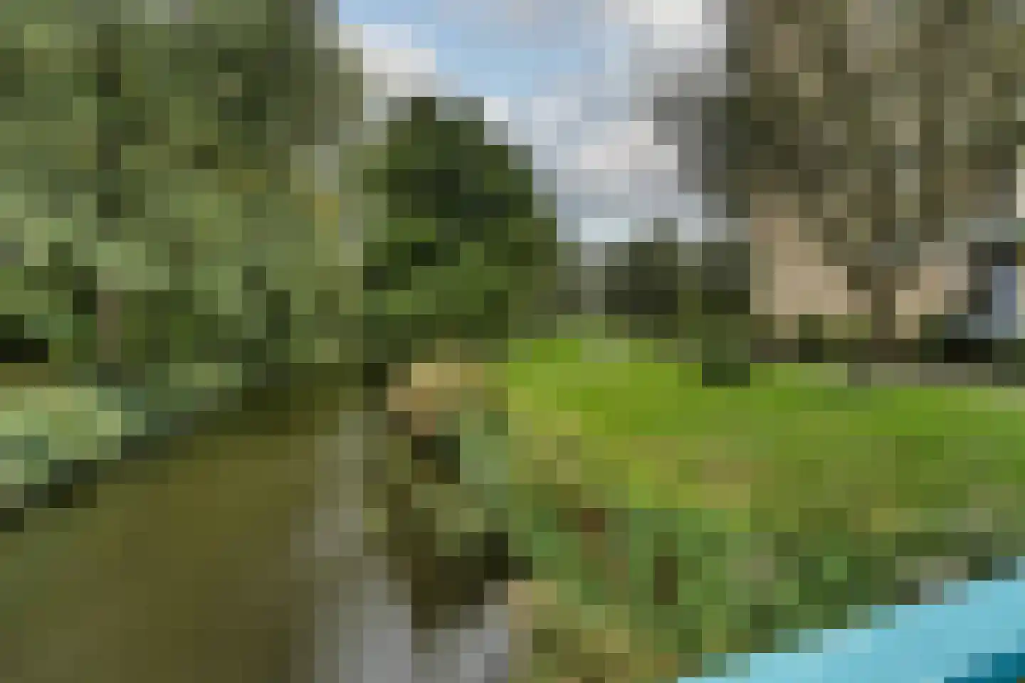 Apollolaan 422 Leiden thumbnail 5