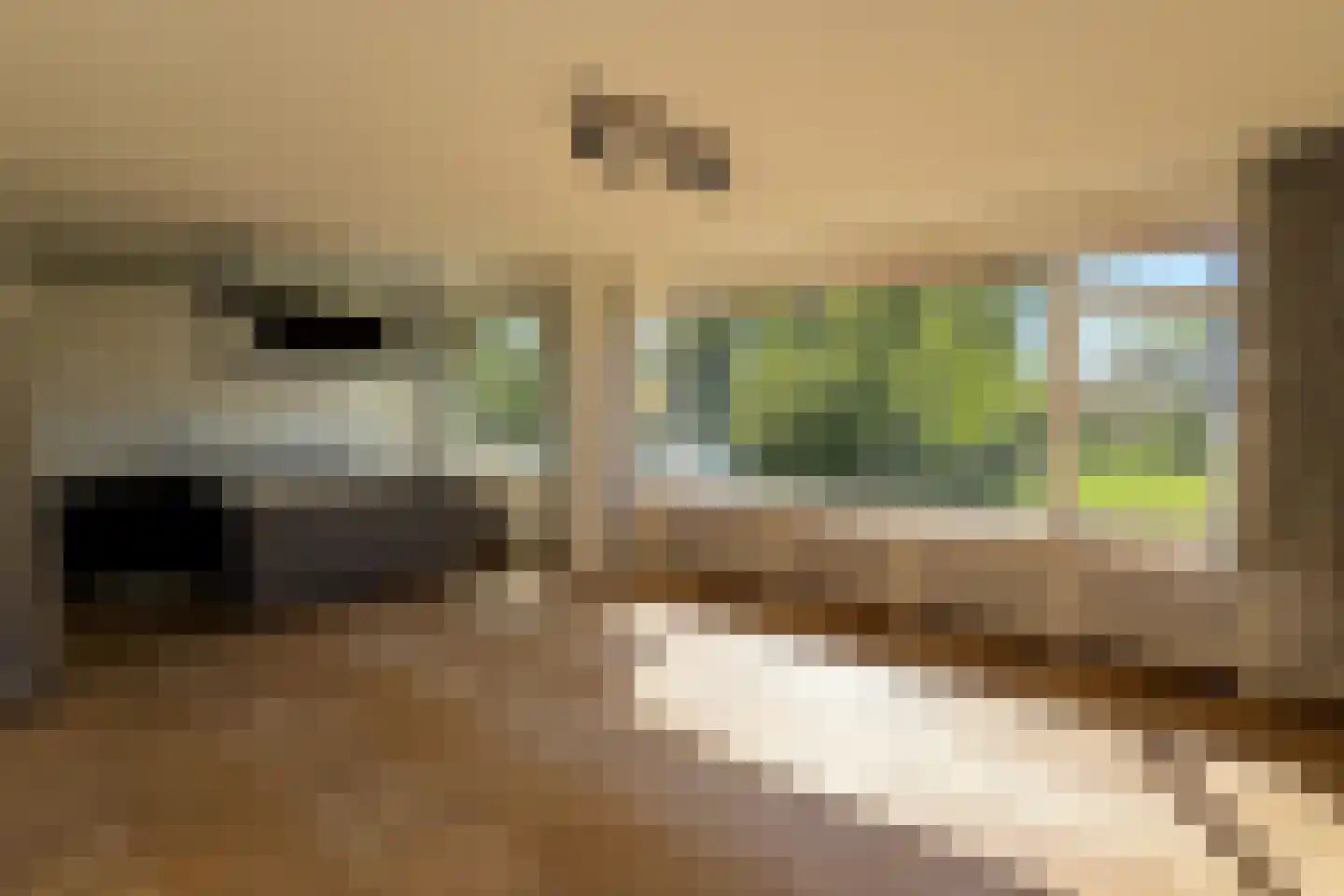 Apollolaan 428 Leiden thumbnail 20