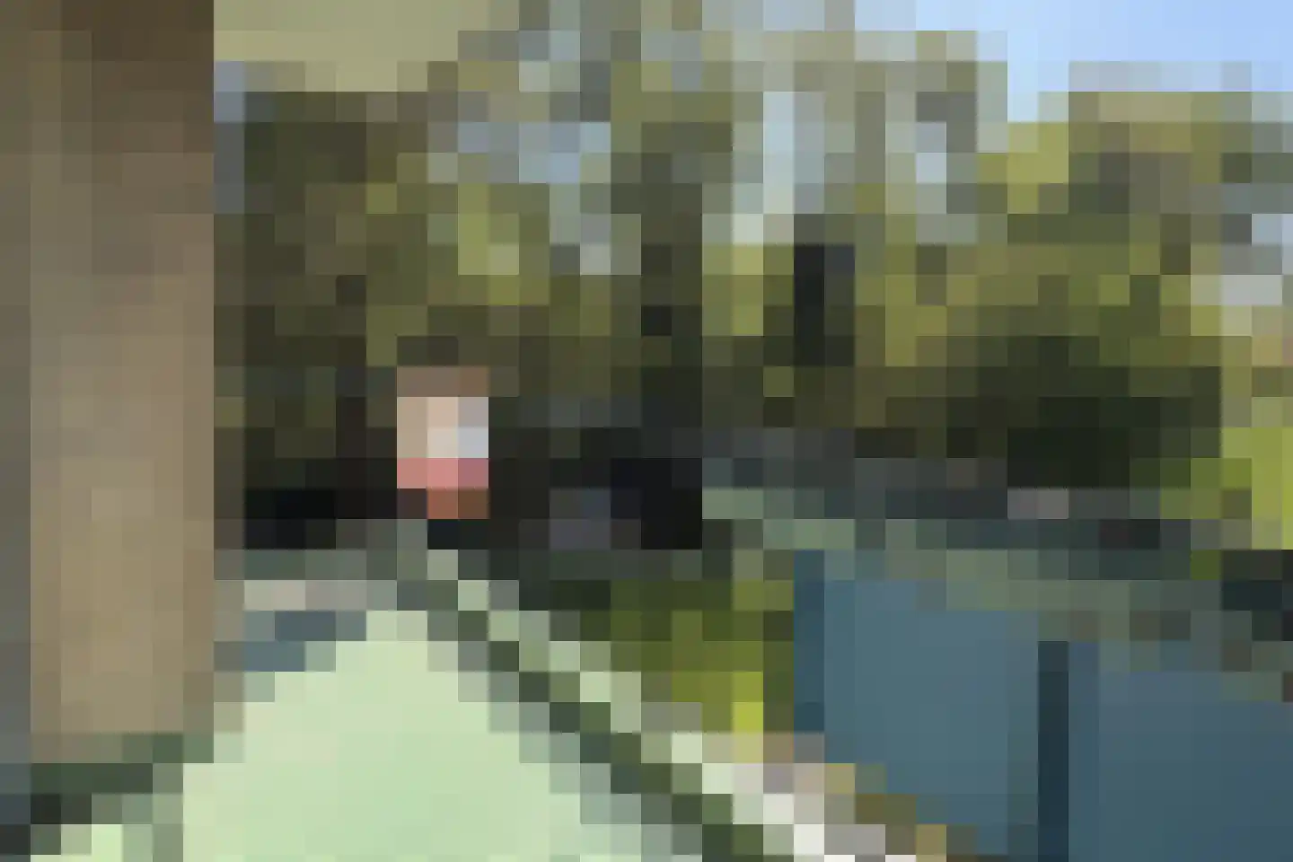 Apollolaan 428 Leiden thumbnail 27