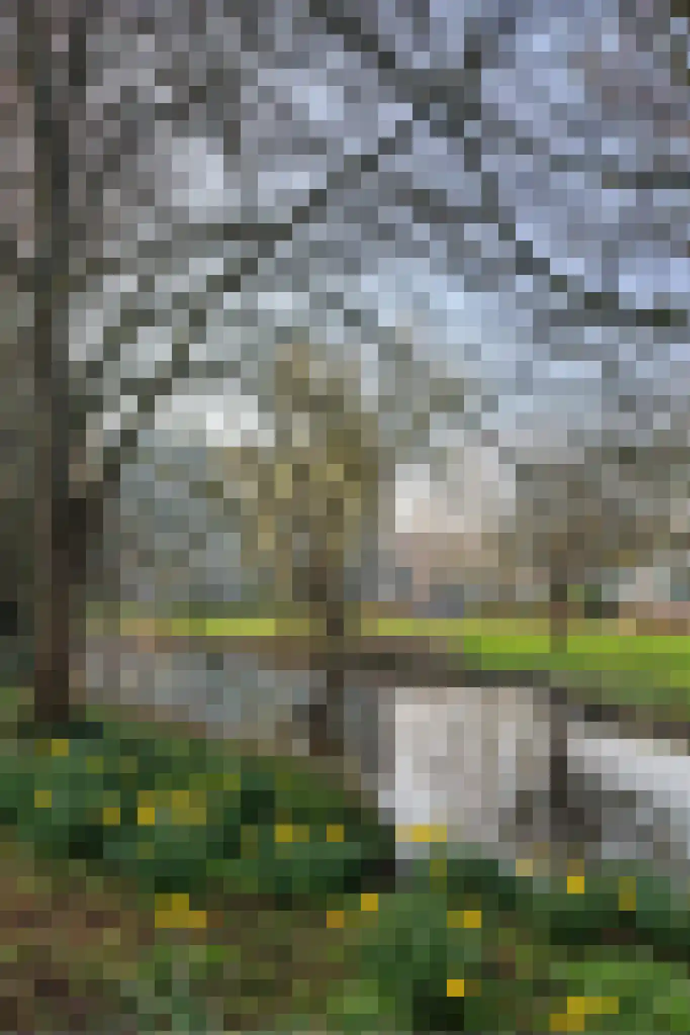 Apollolaan 428 Leiden thumbnail 46