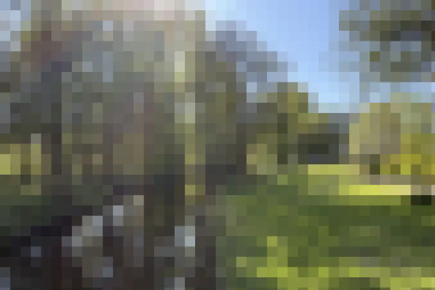Apollolaan 428 Leiden thumbnail 47