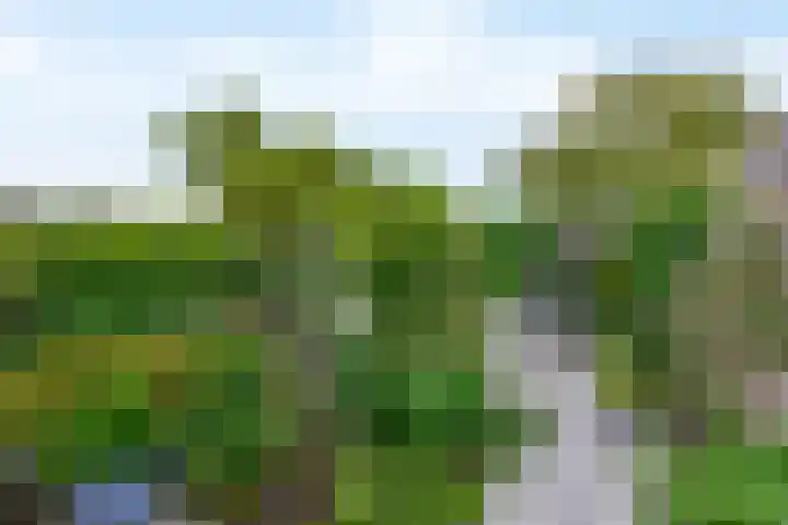 Apollolaan 45 Waddinxveen thumbnail 19