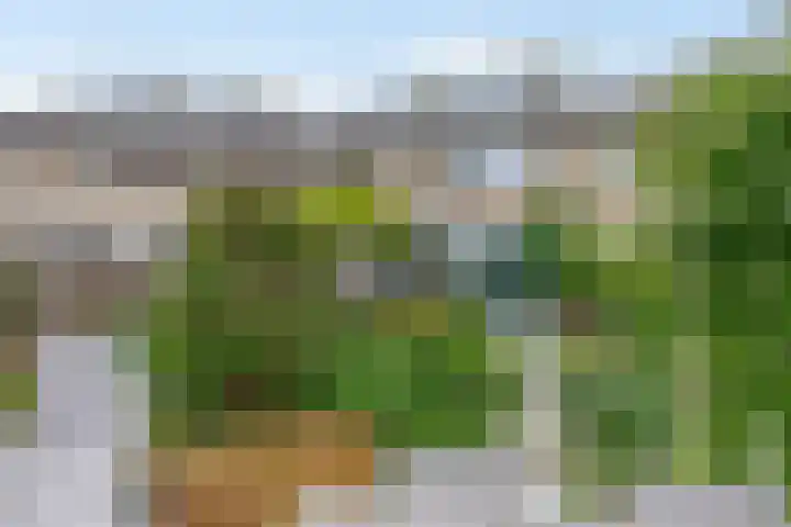 Apollolaan 45 Waddinxveen thumbnail 21
