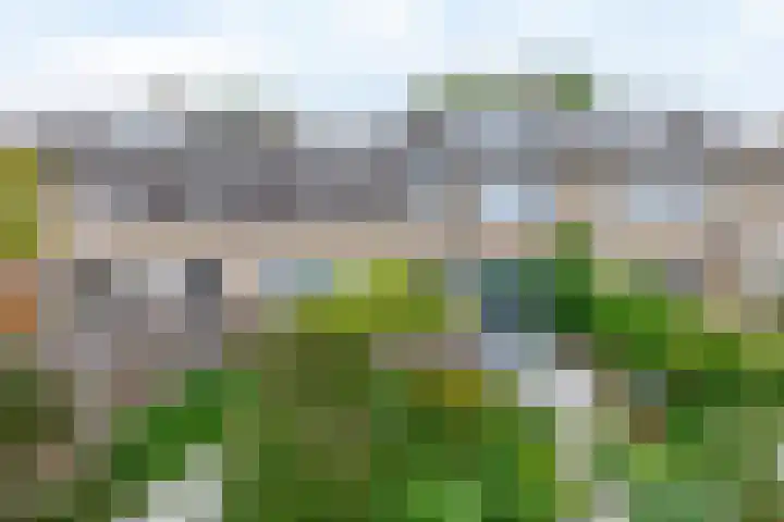 Apollolaan 45 Waddinxveen thumbnail 5