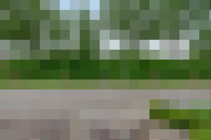 Apollolaan 45 Waddinxveen thumbnail 8