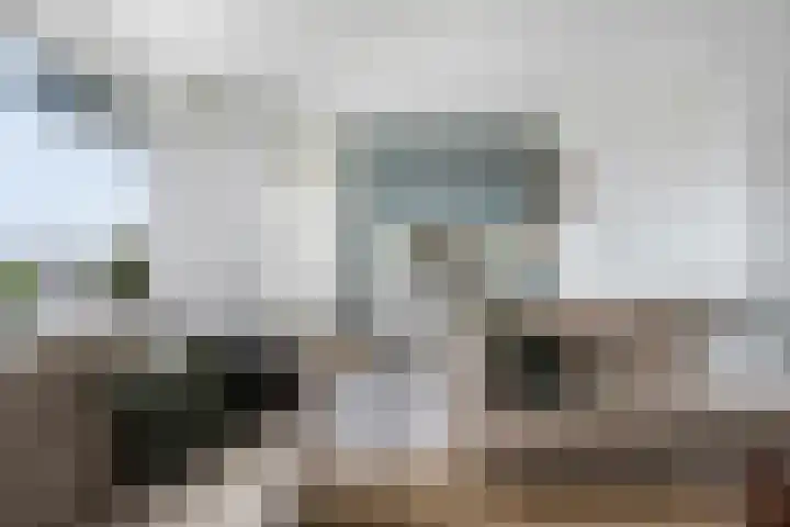 Apollolaan 472 Leiden thumbnail 12