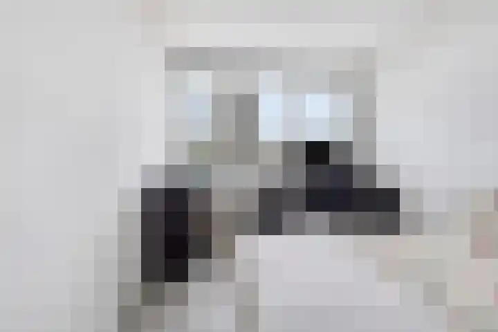 Apollolaan 472 Leiden thumbnail 24