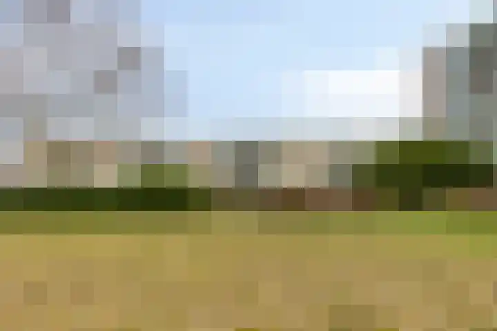 Apollolaan 472 Leiden thumbnail 31